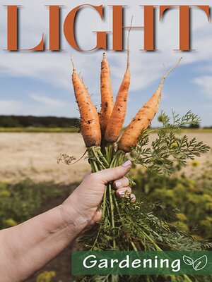 cover image of Light Issue 4 July-August 2022